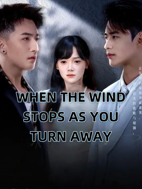 WHEN THE WIND STOPS AS YOU TURN AWAY